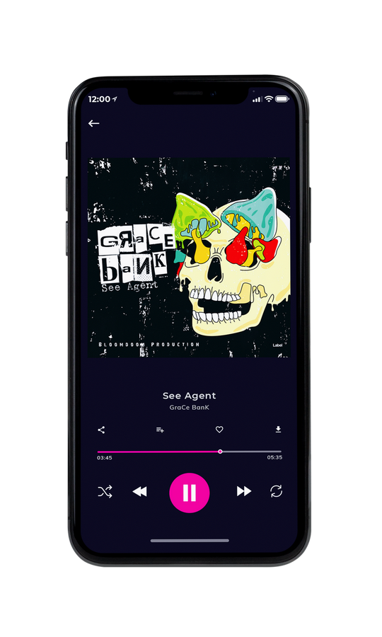Tablet view of Premade Rock,Punk & Alternative Book Cover - Ebony #4964 | AlbumArtZone*