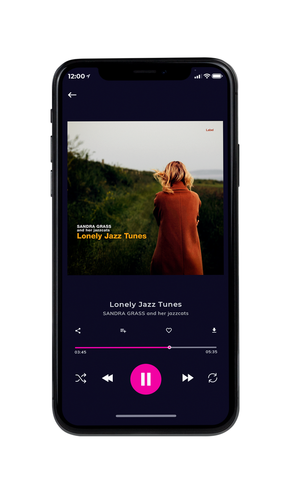 Tablet view of Premade Rock,Punk & Alternative Album Cover - Karaka #5018 | AlbumArtZone*