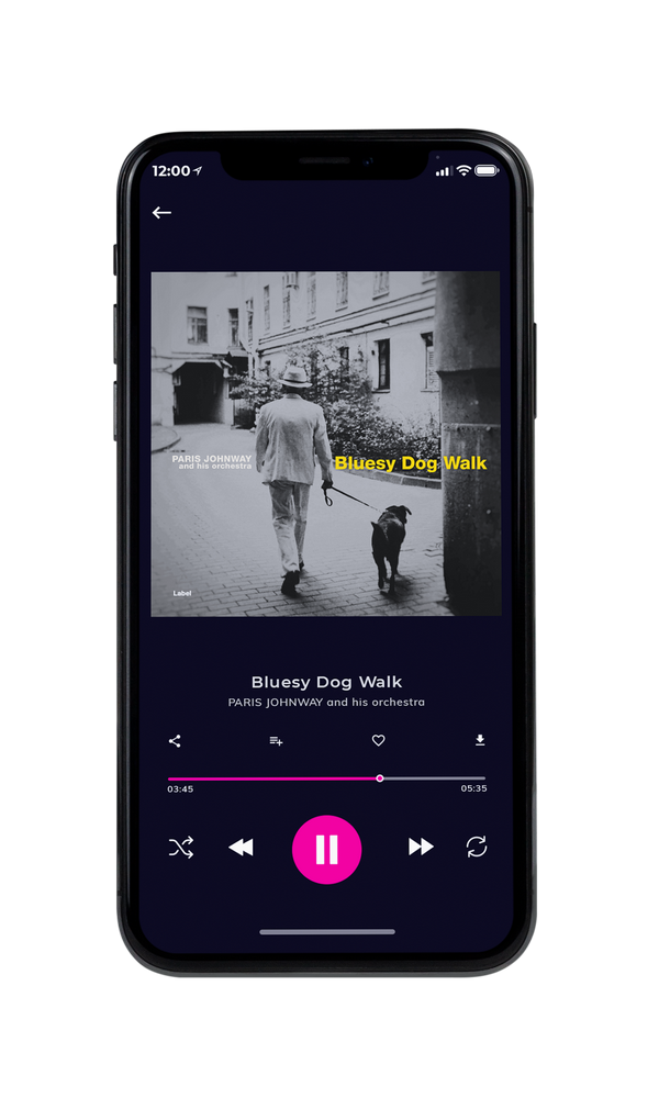 Tablet view of Premade Traditional Jazz & Blues Album Cover - Dusty Gray #5022 | AlbumArtZone*