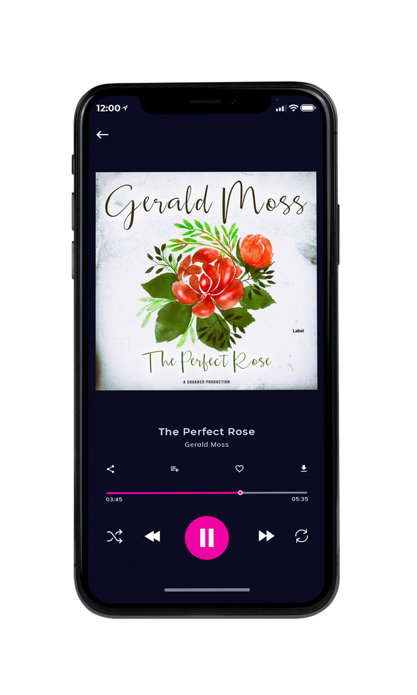 Tablet view of Premade Pop Album Cover - Bon Jour #5032 | AlbumArtZone*