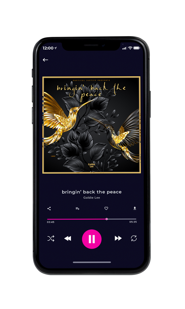Tablet view of Premade Indie & Folk Music Album Cover - Cod Gray #5126 | AlbumArtZone*