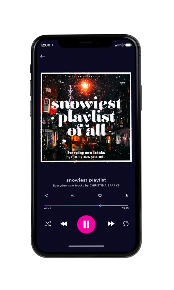 Tablet view of Premade Christmas Music Album Cover - Cod Gray #5241 | AlbumArtZone*