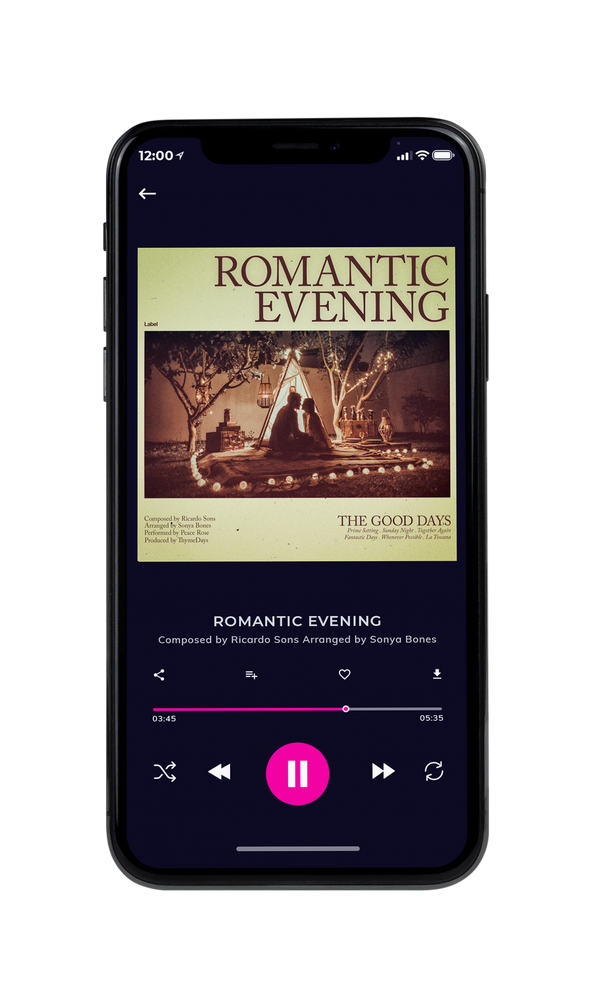 Tablet view of Premade Classical & Romantic Music Book Cover - Winter Hazel #5323 | AlbumArtZone*