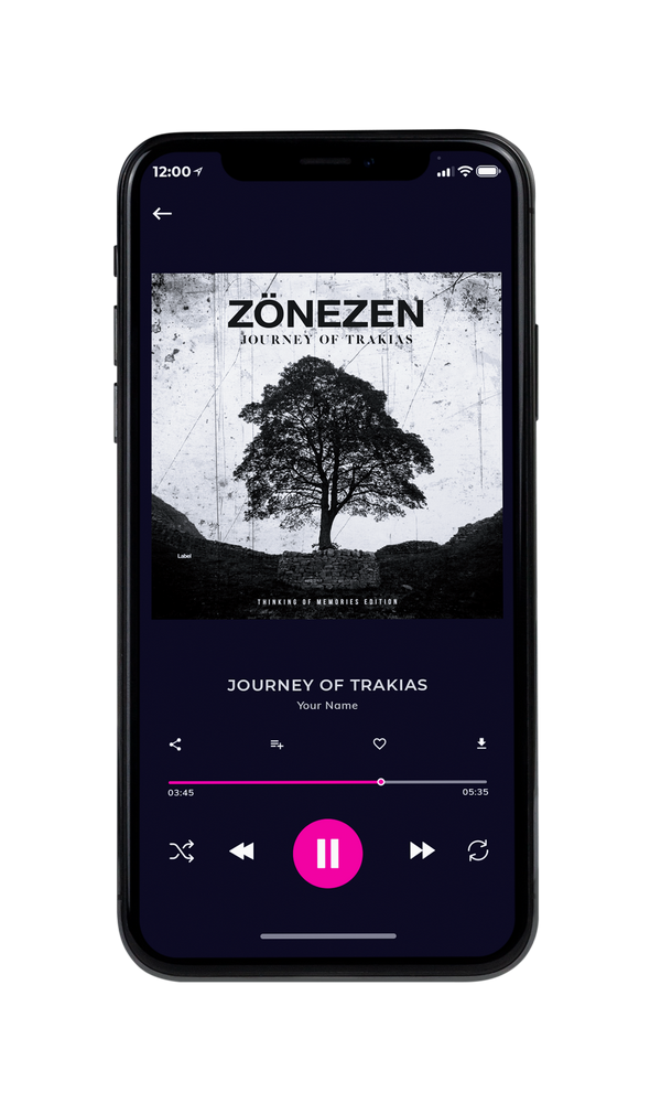 Tablet view of Premade Pop Album Cover - Alto #5454 | AlbumArtZone*
