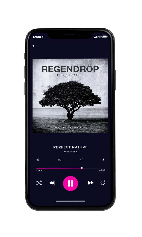 Tablet view of Premade Pop Album Cover - Cod Gray #5458 | AlbumArtZone*