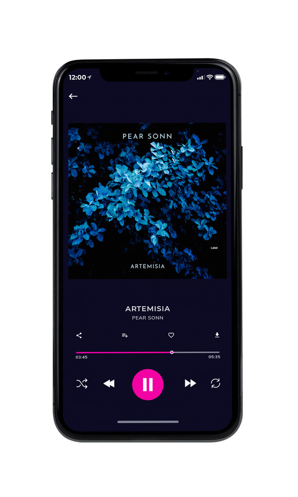 Tablet view of Premade EDM, House & Dub Album Cover - Black Pearl #5490 | AlbumArtZone*