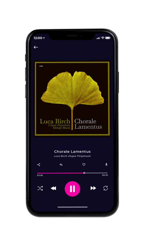 Tablet view of Premade Indie & Folk Music Album Cover - Cannon Black #5548 | AlbumArtZone*