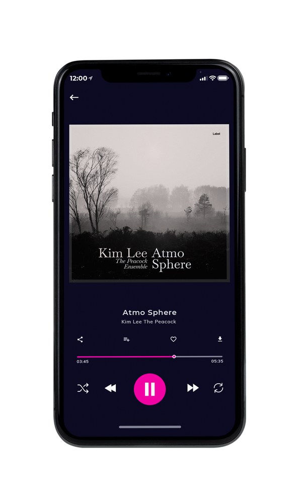 Tablet view of Premade Indie & Folk Music Album Cover - Cod Gray #5550 | AlbumArtZone*