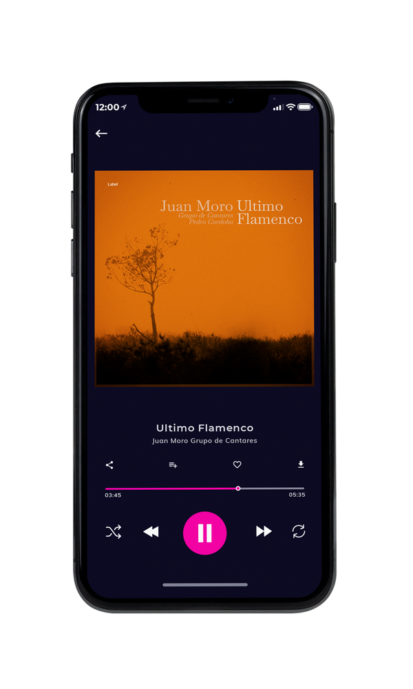 Tablet view of Premade Indie & Folk Music Album Cover - Indochine #5554 | AlbumArtZone*