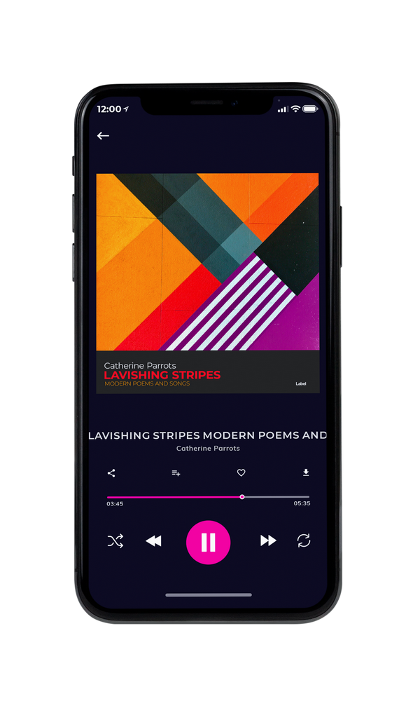 Tablet view of Premade Contemporary Music Album Cover - Outer Space #5583 | AlbumArtZone*