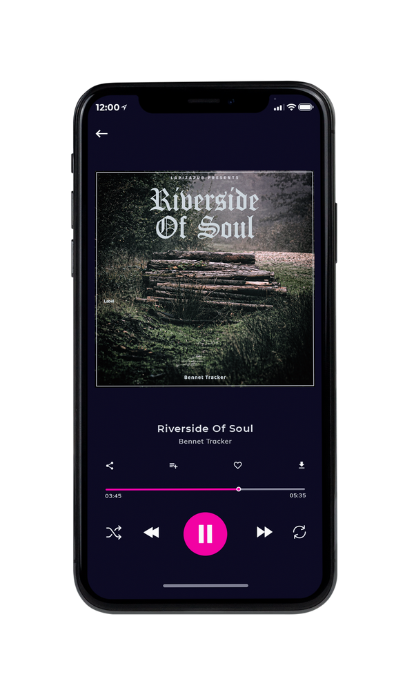 Tablet view of Premade Indie & Folk Music Album Cover - Heavy Metal #5671 | AlbumArtZone*