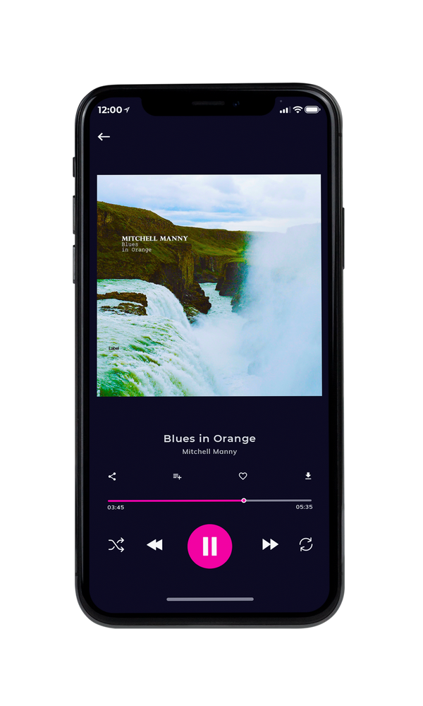 Tablet view of Premade Traditional Jazz & Blues Album Cover - Botticelli #5684 | AlbumArtZone*