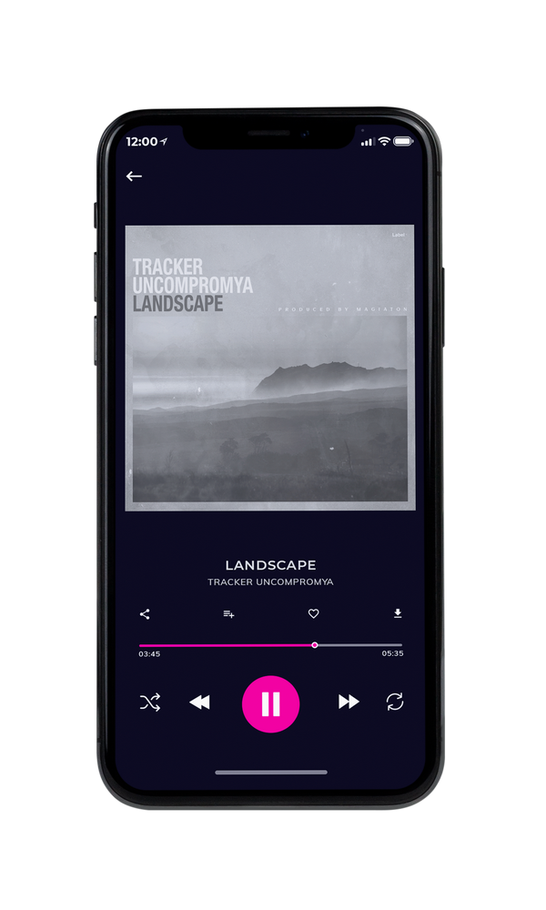 Tablet view of Premade Country & Acoustic Album Cover - Silver Chalice #5749 | AlbumArtZone*