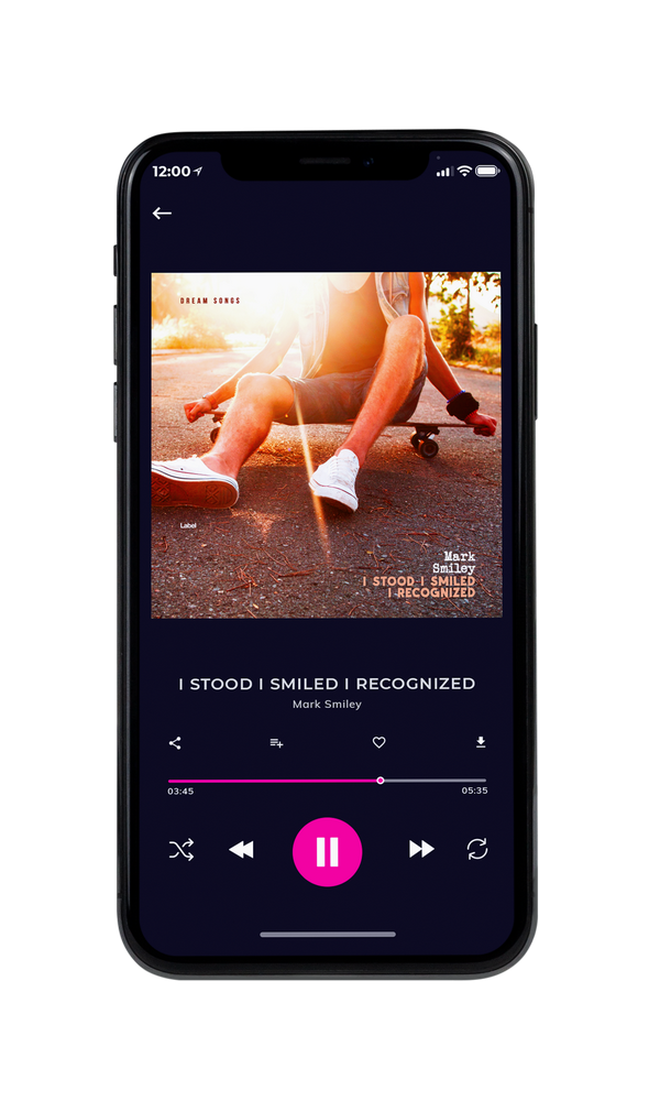 Tablet view of Premade Pop Album Cover - Old Copper #5957 | AlbumArtZone*
