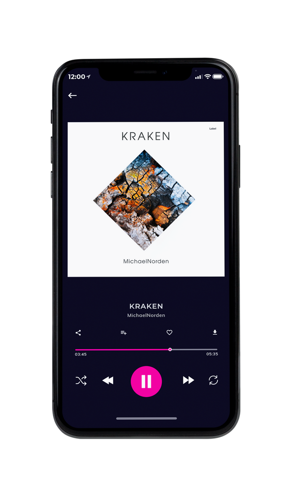 Tablet view of Premade Pop Album Cover - Bison Hide #6051 | AlbumArtZone*