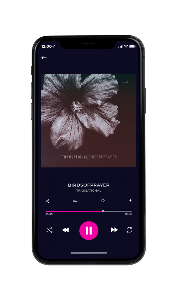 Tablet view of Premade Pop Album Cover - Woody Brown #6081 | AlbumArtZone*
