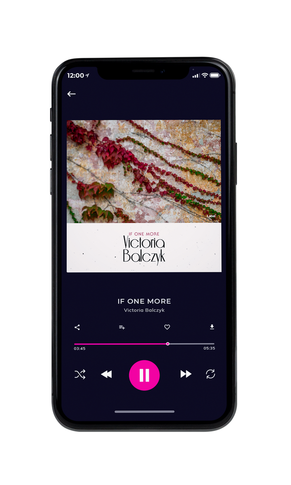 Tablet view of Premade Contemporary Music Album Cover - Sisal #6109 | AlbumArtZone*