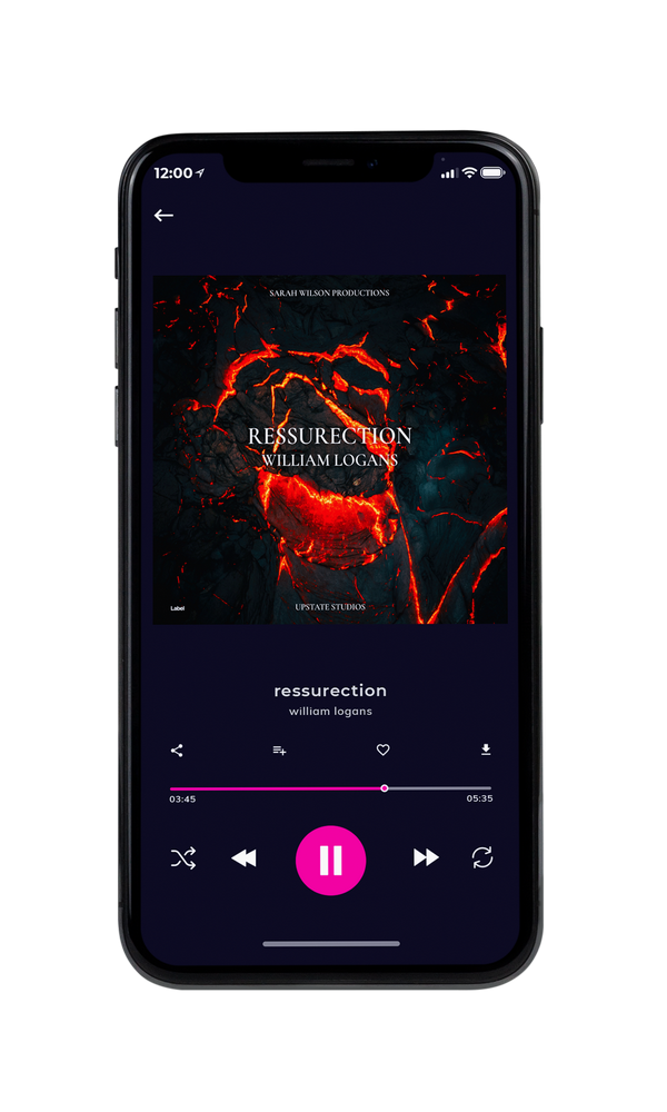 Tablet view of Premade Pop Album Cover - Woodsmoke #6144 | AlbumArtZone*