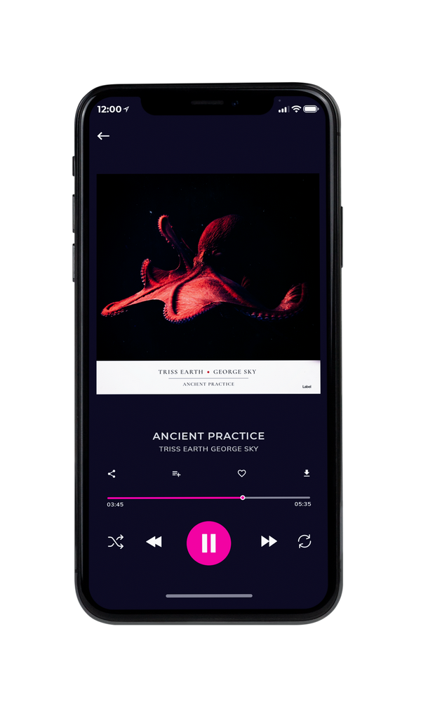 Tablet view of Premade Rock,Punk & Alternative Album Cover - Cinder #6164 | AlbumArtZone*
