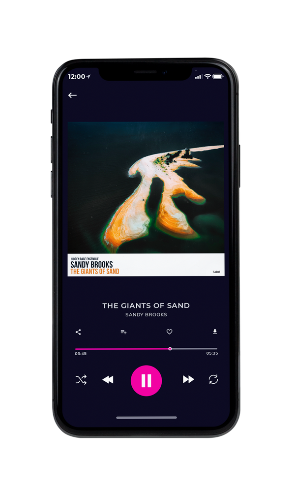 Tablet view of Premade Classical & Romantic Music Album Cover - Calico #6189 | AlbumArtZone*