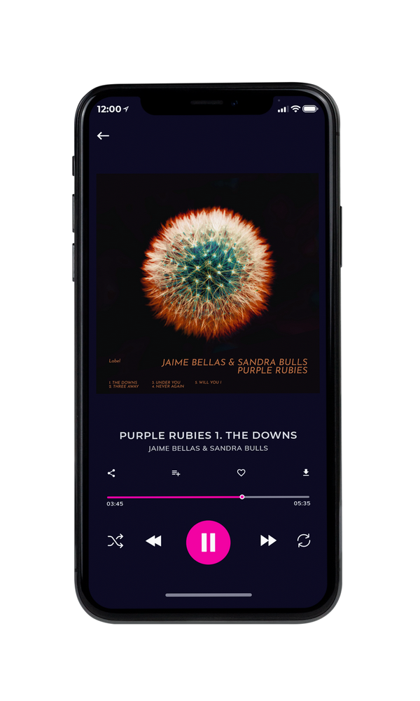 Tablet view of Premade Pop Album Cover - Muddy Waters #6211 | AlbumArtZone*