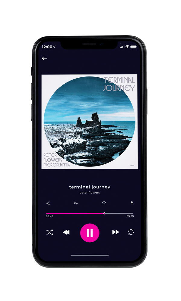 Tablet view of Premade Pop Album Cover - Pickled Bluewood #6235 | AlbumArtZone*