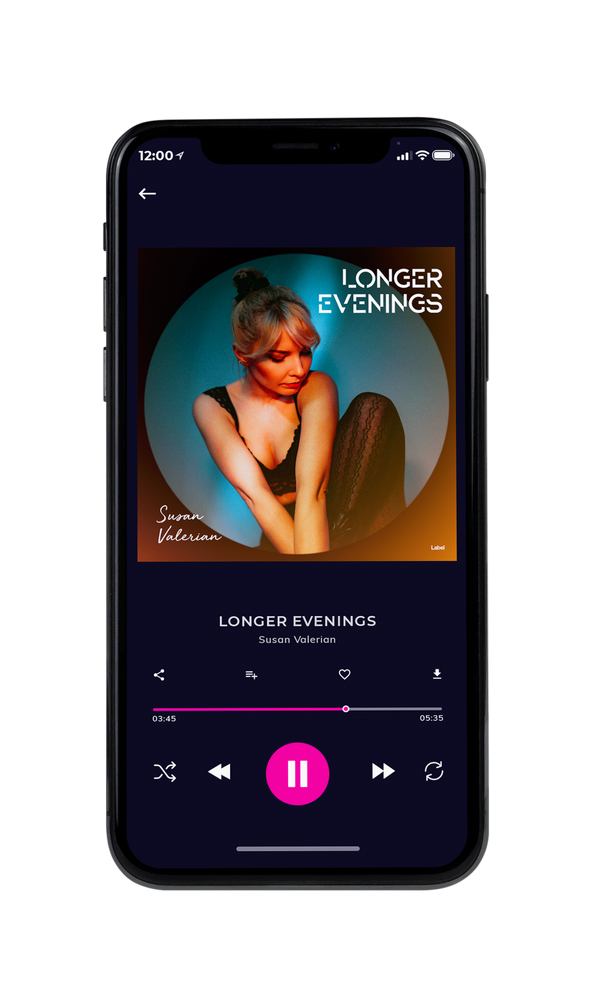 Tablet view of Premade Pop Album Cover - Armadillo #6239 | AlbumArtZone*