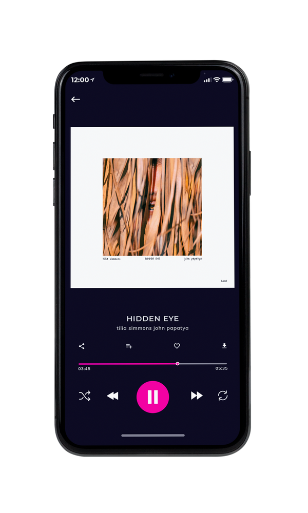Tablet view of Premade Pop Album Cover - Whiskey #6287 | AlbumArtZone*