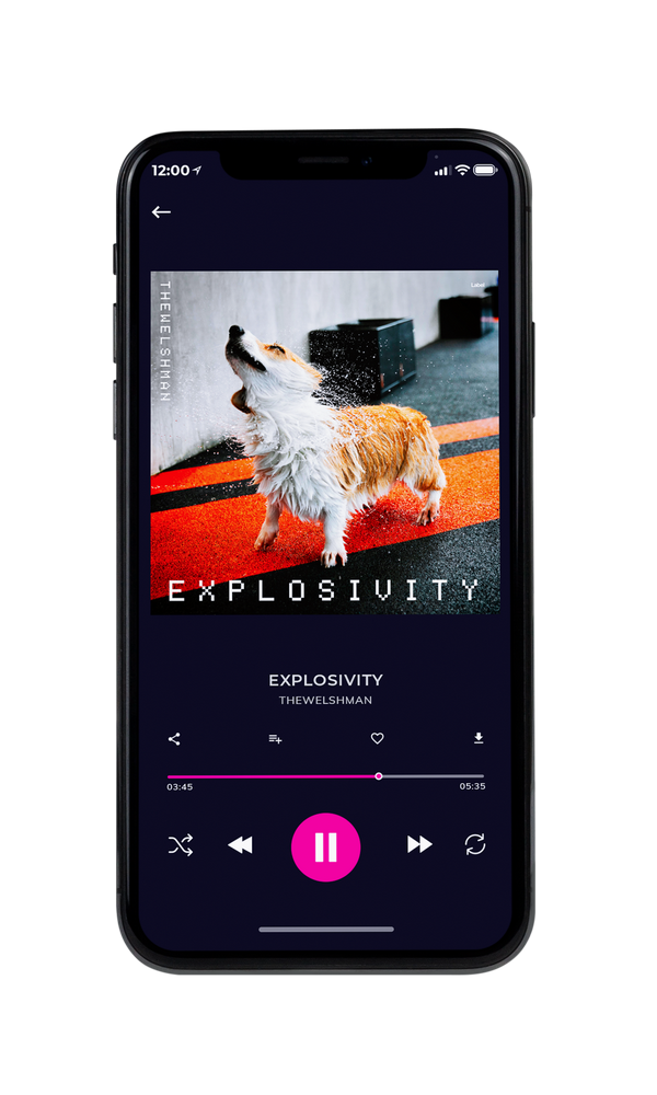Tablet view of Premade Rock,Punk & Alternative Album Cover - Woodsmoke #6304 | AlbumArtZone*