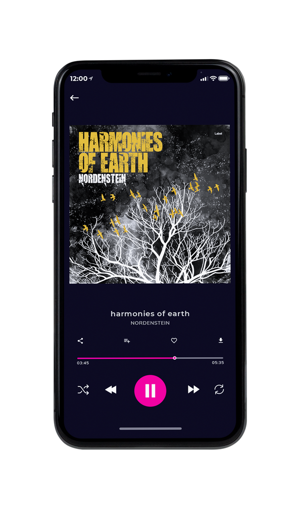 Tablet view of Premade Pop Album Cover - Tuatara #6323 | AlbumArtZone*