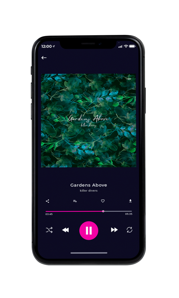 Tablet view of Premade Pop Album Cover - Bush #6638 | AlbumArtZone*