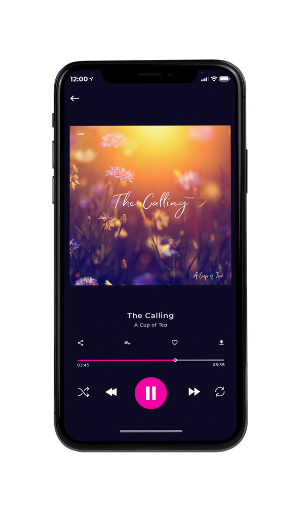 Tablet view of Premade Pop Album Cover - Santa Fe #6643 | AlbumArtZone*