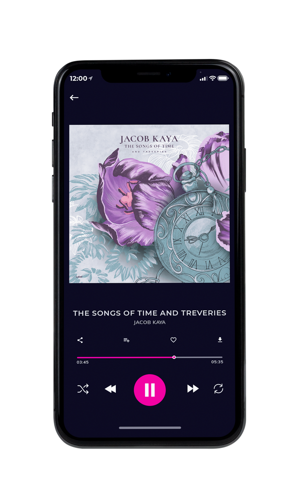 Tablet view of Premade Pop Album Cover - Gray Suit #6656 | AlbumArtZone*