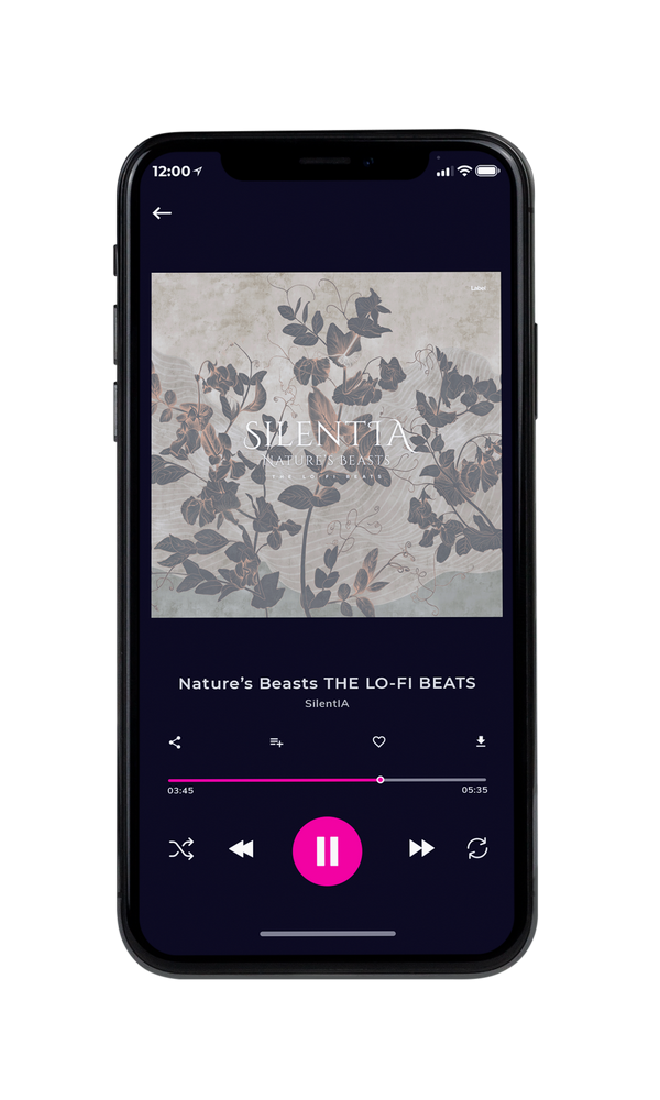 Tablet view of Premade Pop Album Cover - Tide #6659 | AlbumArtZone*