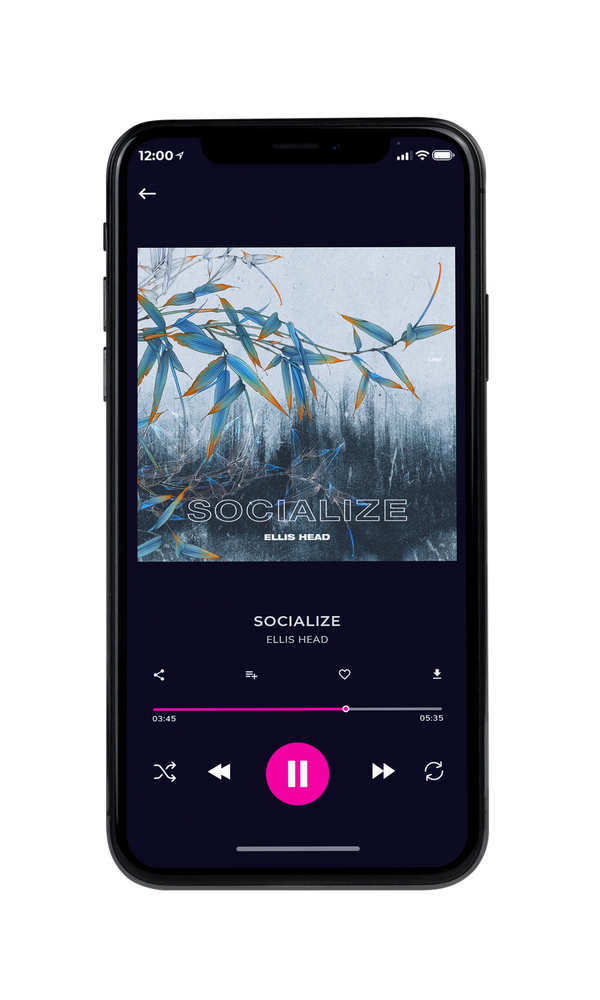 Tablet view of Premade Pop Album Cover - Loblolly #6660 | AlbumArtZone*