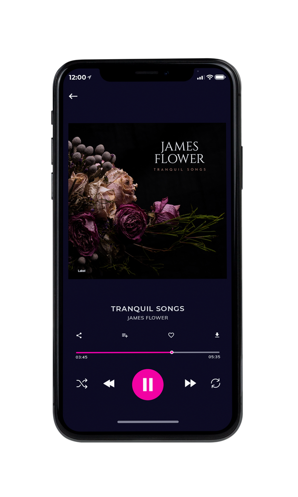 Tablet view of Premade Pop Album Cover - Zeus #6711 | AlbumArtZone*