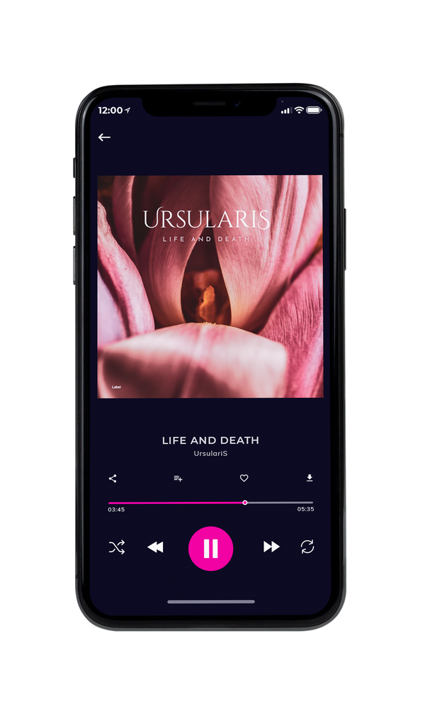 Tablet view of Premade Electronica & Ambient Album Cover - Turkish Rose #6718 | AlbumArtZone*