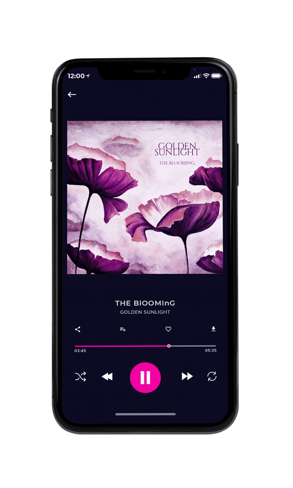Tablet view of Premade Electronica & Ambient Album Cover - Twilight #6721 | AlbumArtZone*