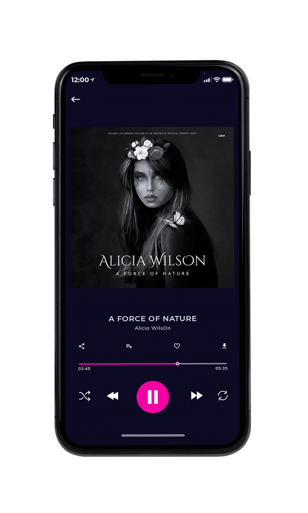 Tablet view of Premade Pop Album Cover - Cod Gray #6724 | AlbumArtZone*