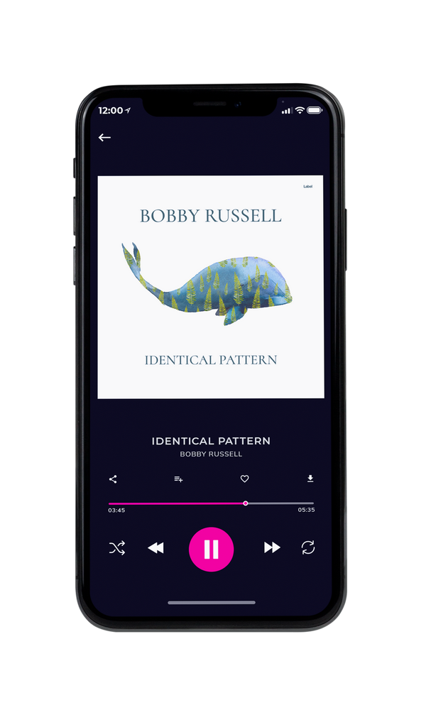 Tablet view of Premade Pop Album Cover - Slate Gray #6747 | AlbumArtZone*
