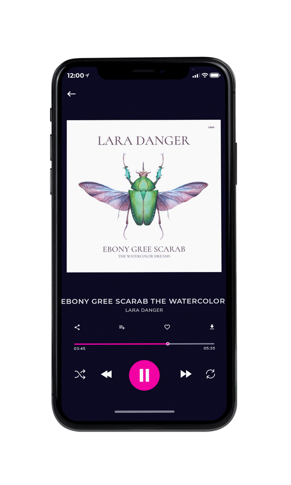 Tablet view of Premade Pop Album Cover - Pale Slate #6750 | AlbumArtZone*