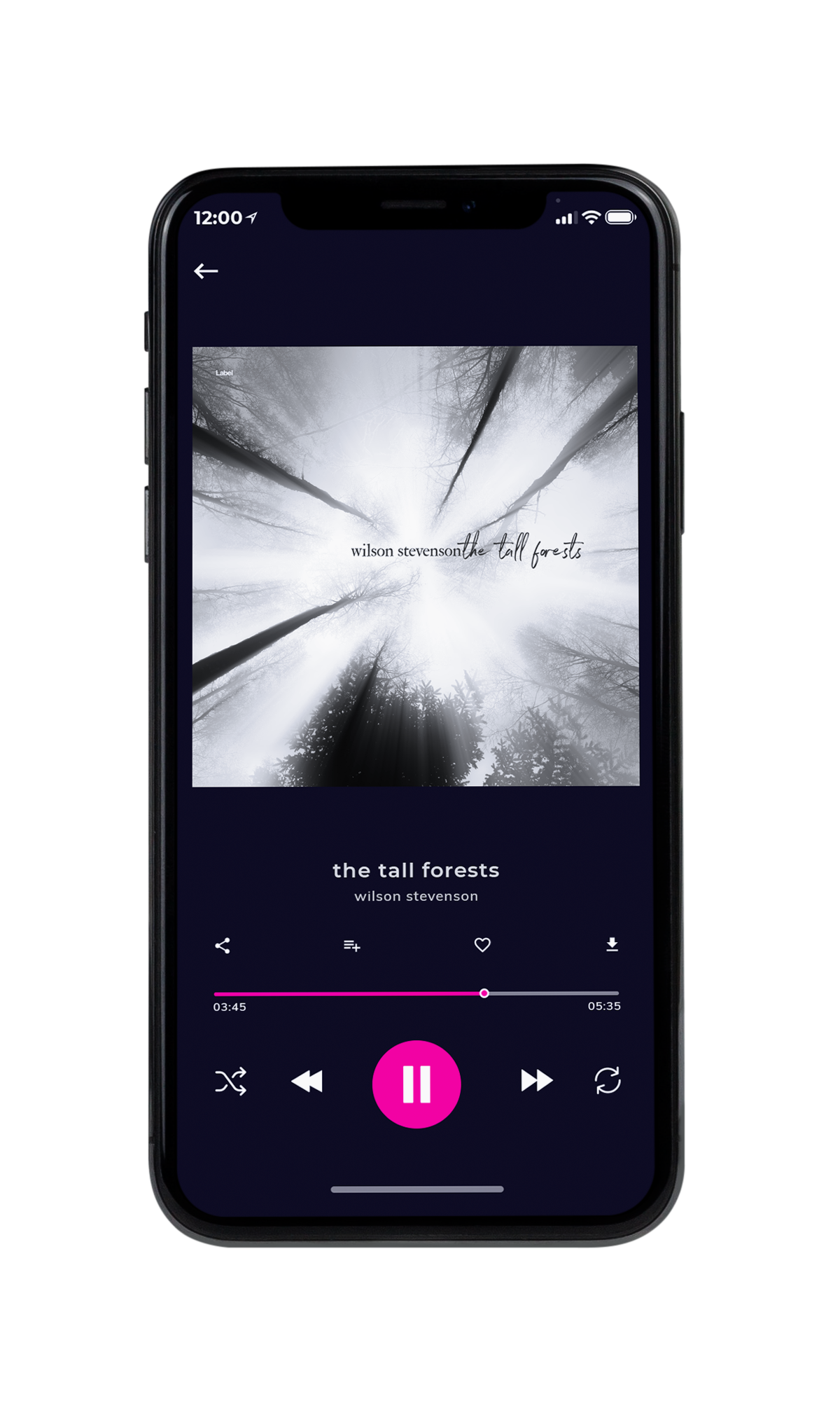 Tablet view of Premade Country & Acoustic Album Cover - Alto #7003 | AlbumArtZone*