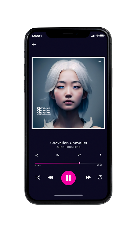 Tablet view of Premade EDM, House & Dub Album Cover - Shuttle Gray #7118 | AlbumArtZone*