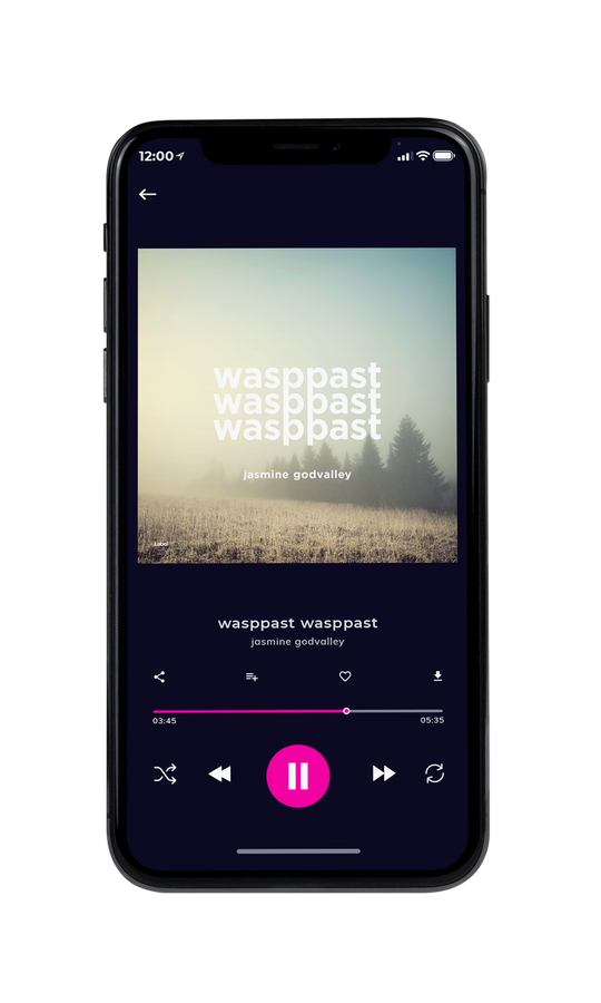 Tablet view of Premade Pop Album Cover - Tana #7191 | AlbumArtZone*