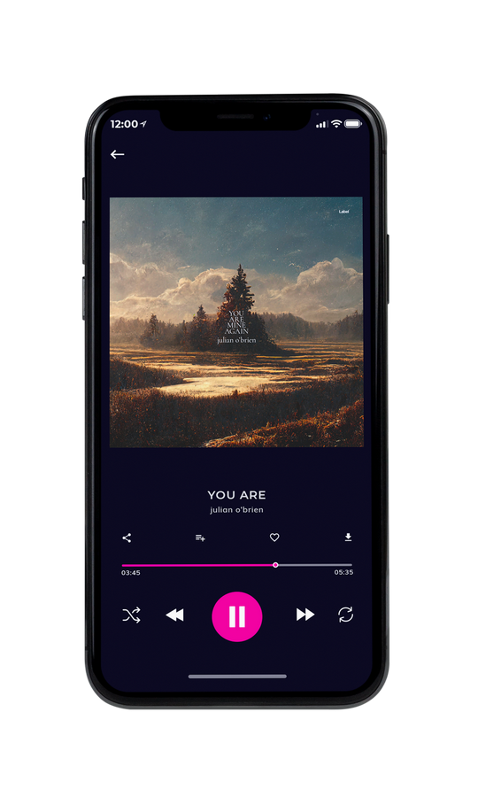 Tablet view of Premade Country & Acoustic Album Cover - Chicago #7244 | AlbumArtZone*