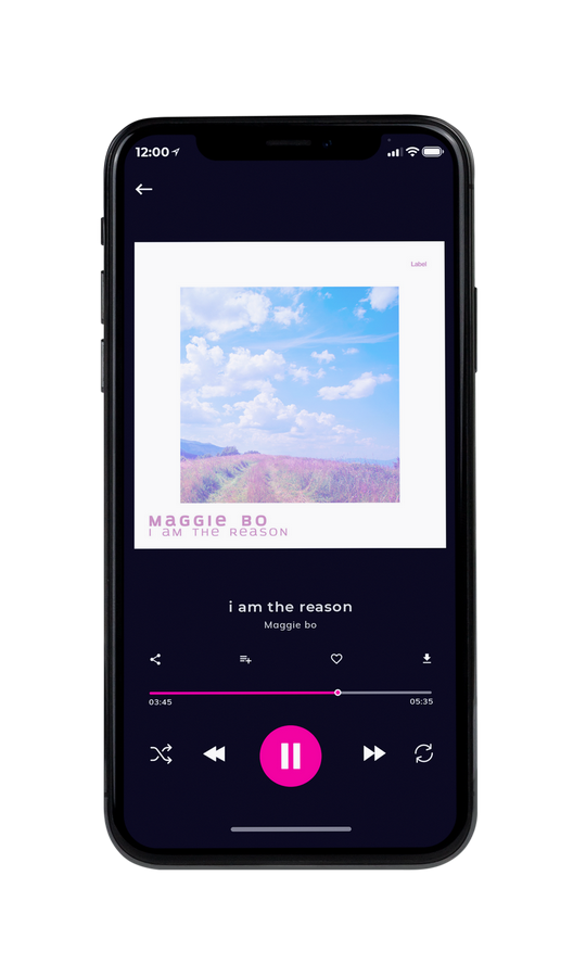 Tablet view of Premade Country & Acoustic Album Cover - Link Water #7277 | AlbumArtZone*