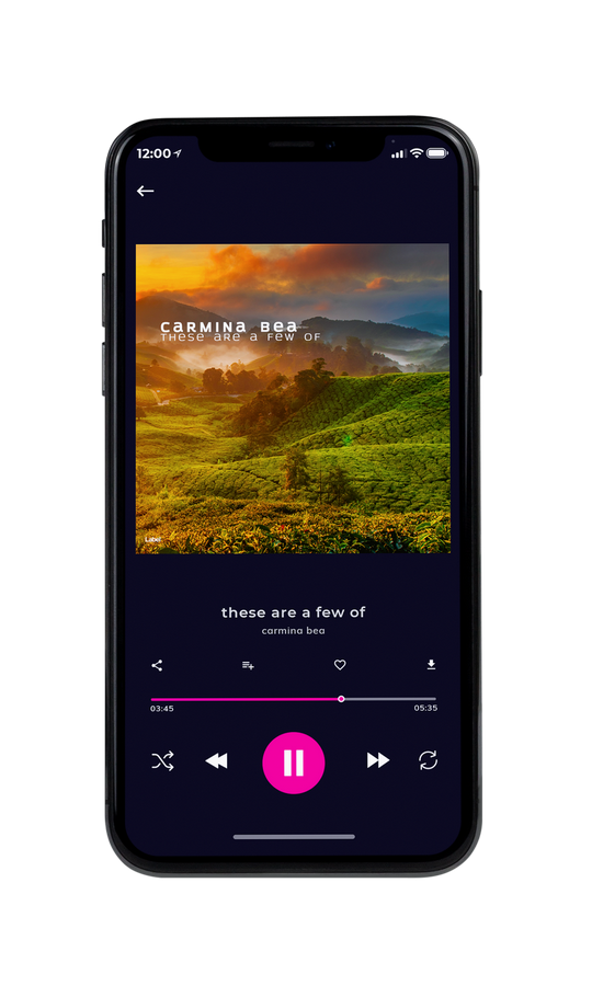 Tablet view of Premade Country & Acoustic Album Cover - Dallas #7299 | AlbumArtZone*