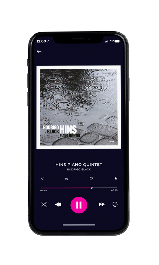 Tablet view of Premade Contemporary Music Album Cover - Shady Lady #7310 | AlbumArtZone*