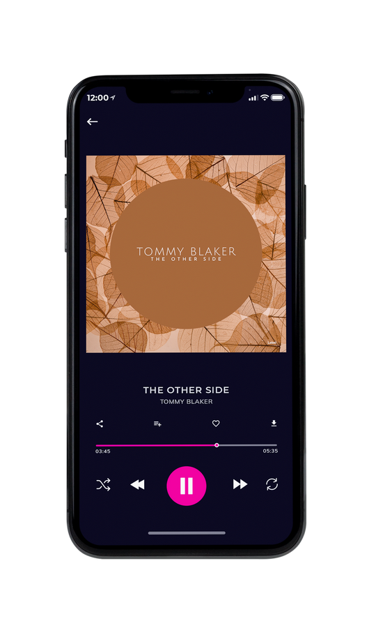 Tablet view of Premade Pop Album Cover - Driftwood #7326 | AlbumArtZone*
