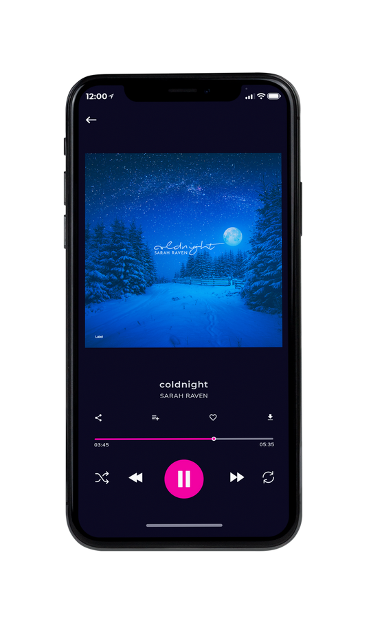 Tablet view of Premade Pop Album Cover - Endeavour #7361 | AlbumArtZone*